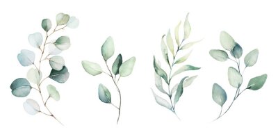 Aquarel planten en bladeren