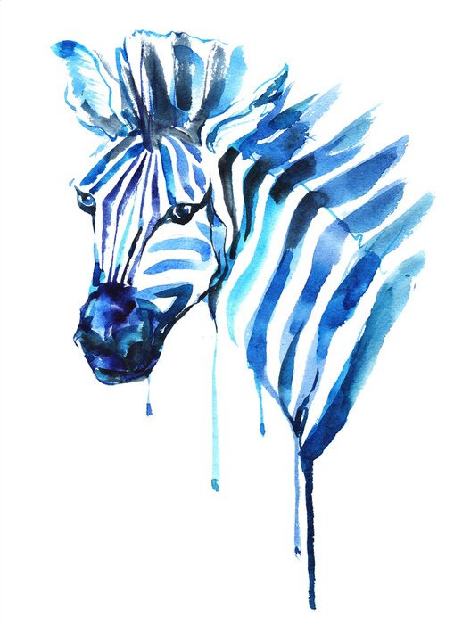 Poster Aquarel schilderij van een blauwe zebra