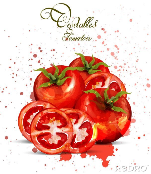 Poster Aquarel tomaten Vector. Heerlijk ontwerp met kleurrijke vlekken handgemaakt
