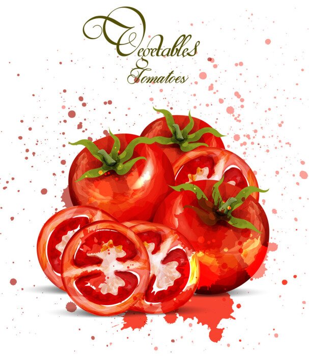Poster Aquarel tomaten Vector. Heerlijk ontwerp met kleurrijke vlekken handgemaakt