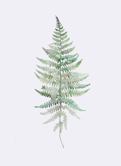 Poster Aquarel varentak