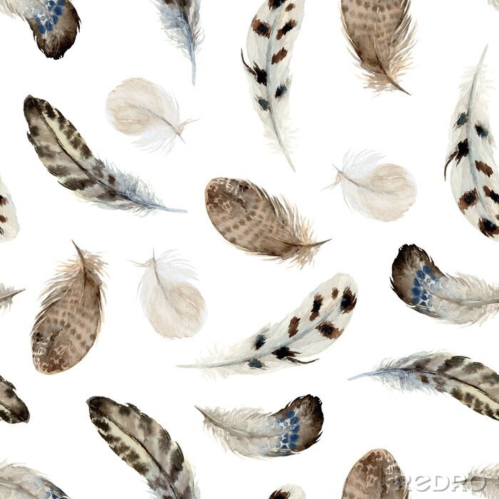 Poster Aquarel veren in boho stijl