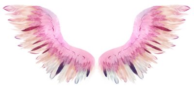 Poster Aquarel vleugels met roze en beige veren