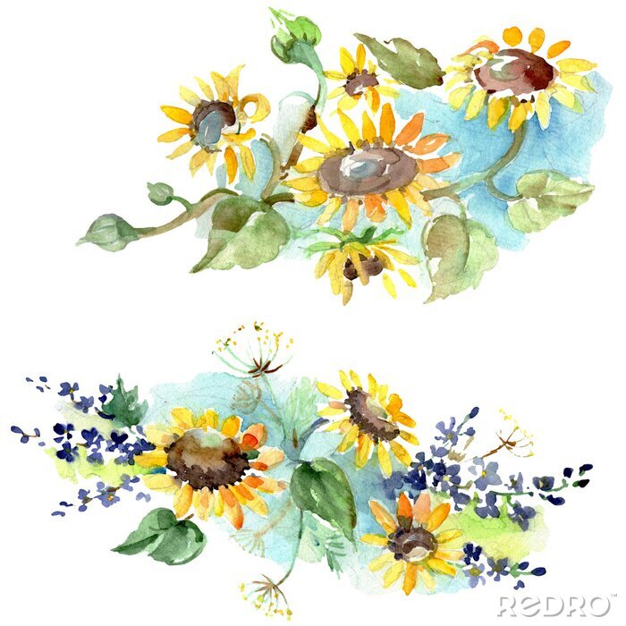 Poster Aquarel zonnebloemen op blauwe arcering