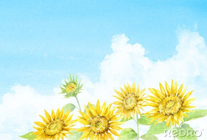 Poster Aquarel zonnebloemen tijdens een zomerse dag