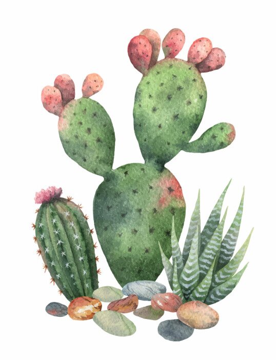 Poster Aquarelcactus met roze uiteinden
