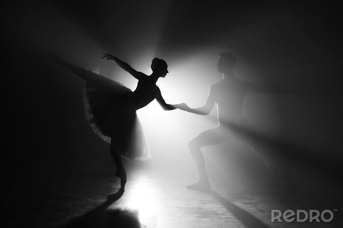 Poster Artistiek paar dansend ballet
