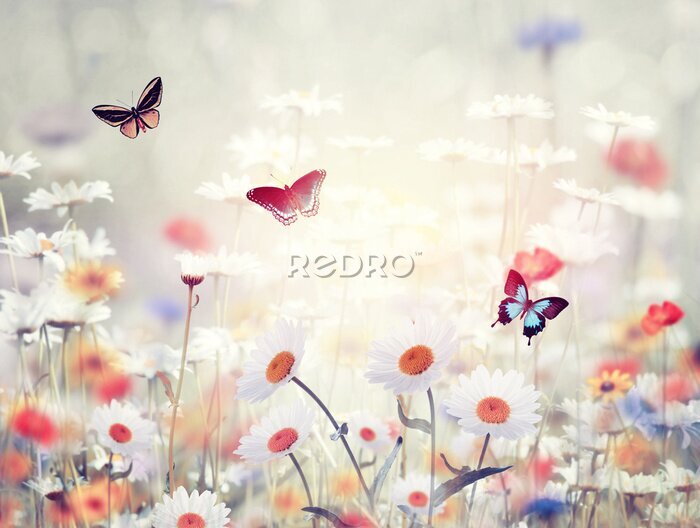 Poster Artistieke grafiek met een weide en bloemen