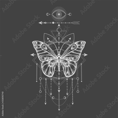 Poster Artistieke illustratie met een vlinder