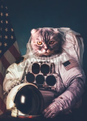 Poster Astronaut kat dier