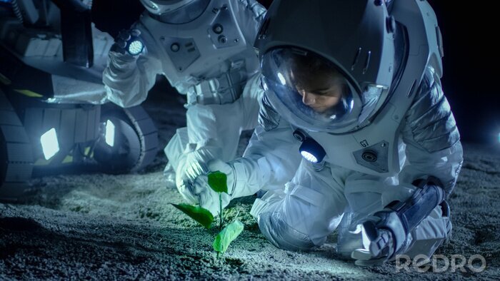 Poster Astronauten met een plant