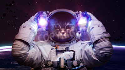 Poster Astronautenkat verkent de ruimte