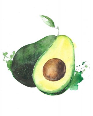 Poster Avocado fruit aquarel voedsel illustratie op een witte achtergrond