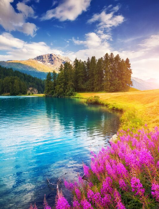 Poster Azure pond Champfer is a unique place. Location Silvaplana village, Swiss alps.