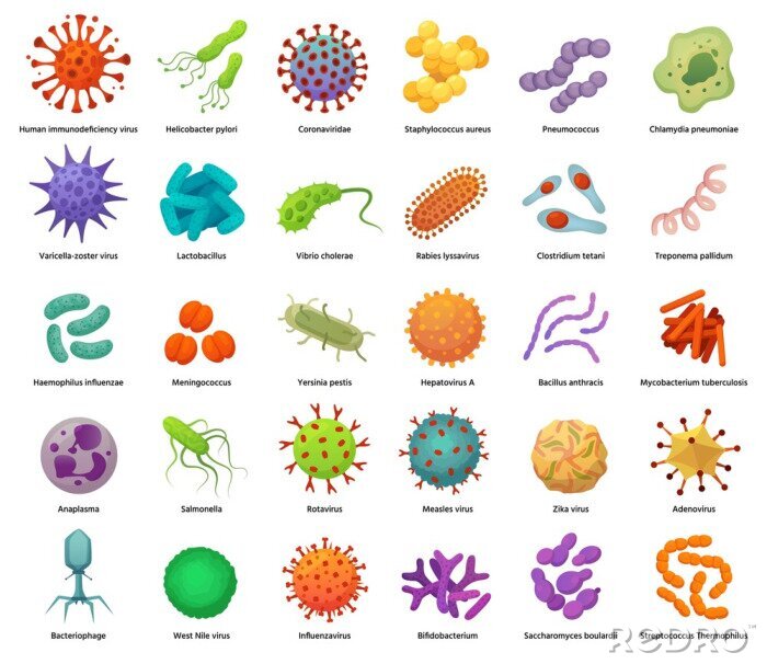 Poster Bacteria and virus icons. Disease-causing bacterias, viruses and microbes. Color germs, bacterium types vector illustration set. Coronavirus and bacterium, pathogen hepatovirus and zika
