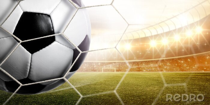 Poster bal in zonnig stadion