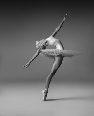 Ballerina in artistieke danshouding