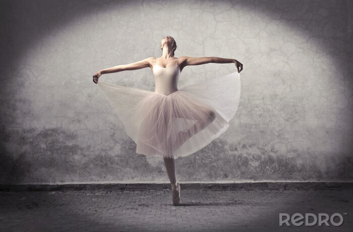 Poster Balletdanshouding op één been