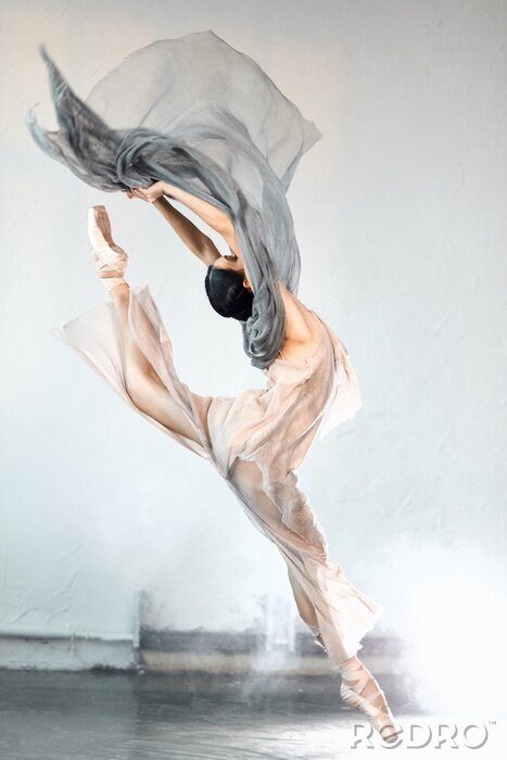 Poster Balletdansportret van een ballerina in beweging