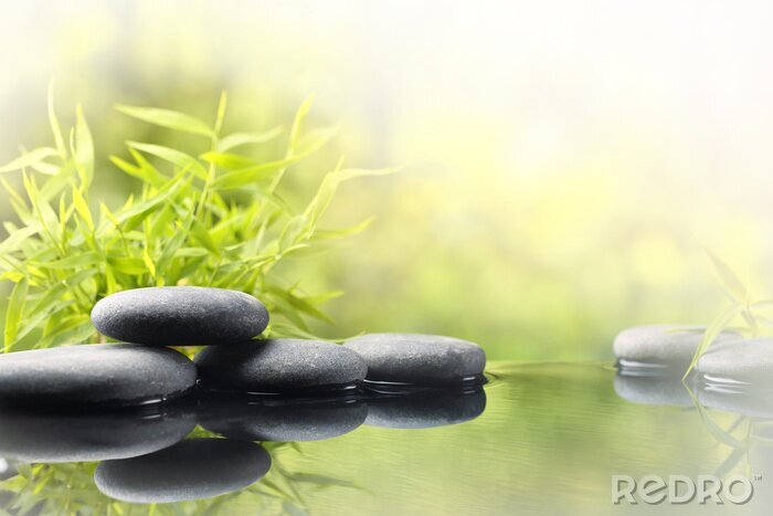 Poster Bamboe bladeren stenen en water