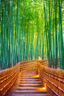 Poster Bamboe bos bij de brug