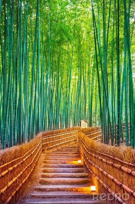 Poster Bamboe bos bij de brug