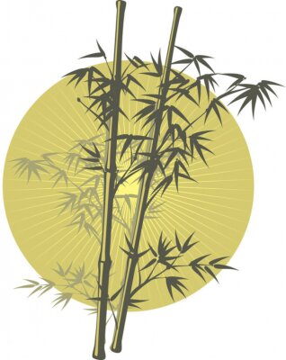 Bamboe Illustratie