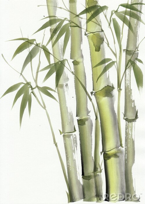 Poster Bamboe in gedempt groen