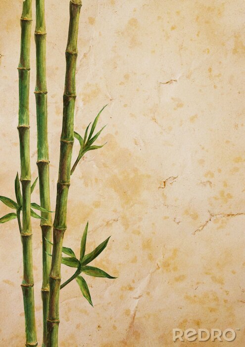 Poster Bamboe met drie takken met bladeren