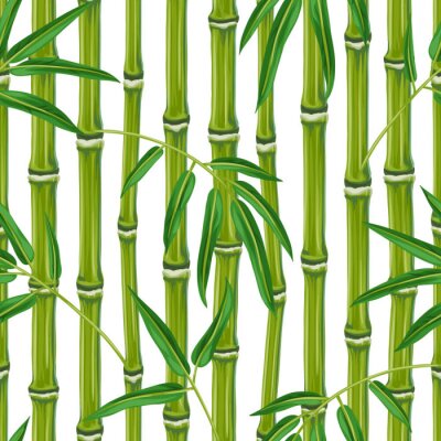 Poster Bamboe van dichtbij