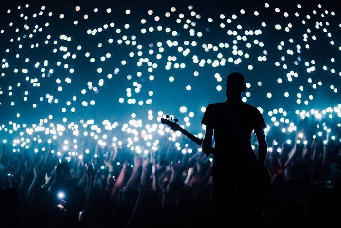 Poster Bass guitarist plays to the crowd of big stadium with flashing lights of their cellphones switched on during the ballad song 
