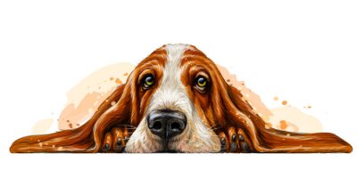 Sticker Basset-hond het rusten