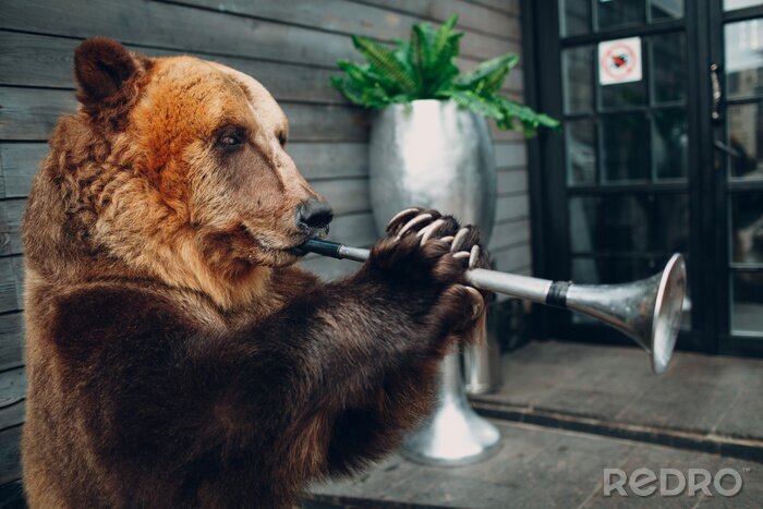 Poster Bear plays trumpet