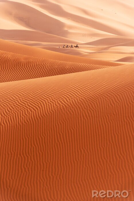 Poster Beautiful sand dunes in the Sahara desert.