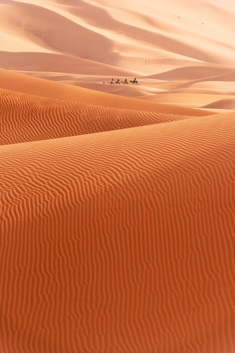 Poster Beautiful sand dunes in the Sahara desert.