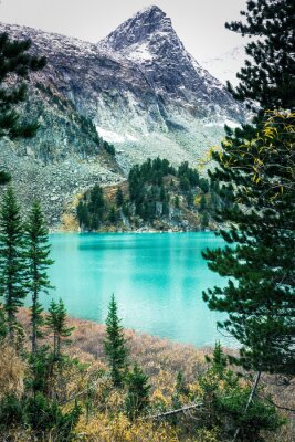 Poster Beautiful turquoise lake in the mountains. Beauty of nature. Walking tour through the nature reserve of Altai.