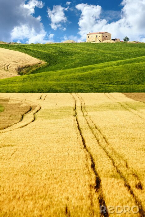 Poster beeld van de typisch Toscaanse landschap