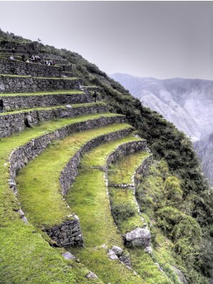 Poster Bergterrassen bij Machu Picchu