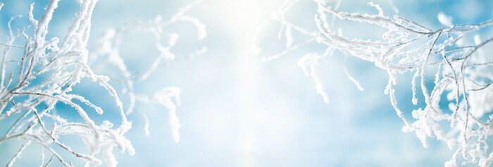 Poster Berijpte takjes tegen de blauwe lucht