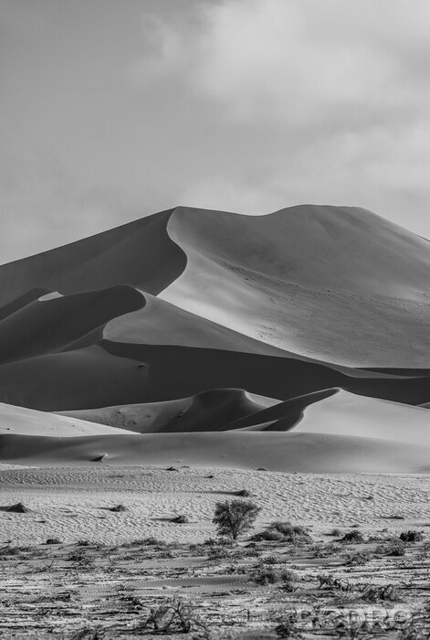 Poster black and white, desert dunes, Sussusvlei