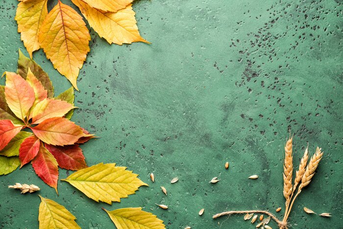 Poster Bladeren en spikes op een groene achtergrond