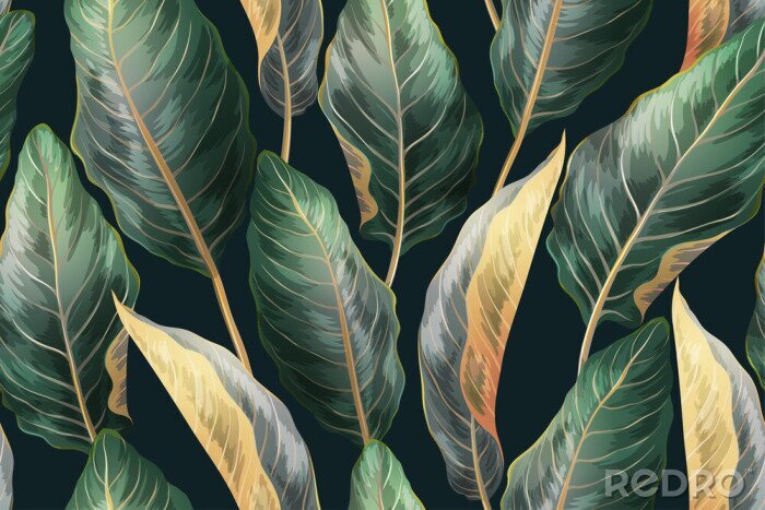 Poster Bladeren van exotische planten op een donkere achtergrond