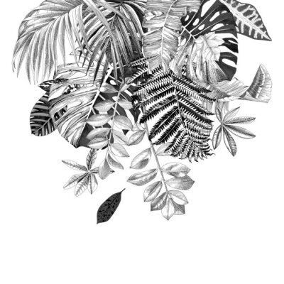Poster Bladeren van tropische planten