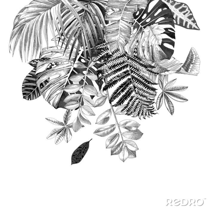 Poster Bladeren van tropische planten
