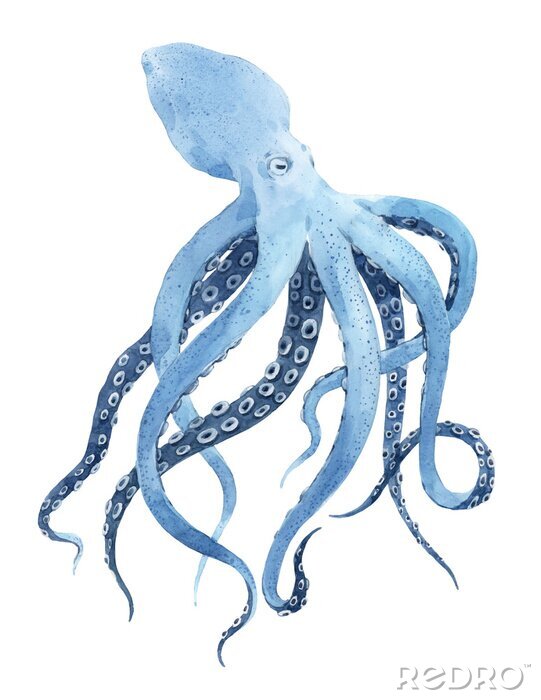 Poster Blauwe octopus met lange tentakels