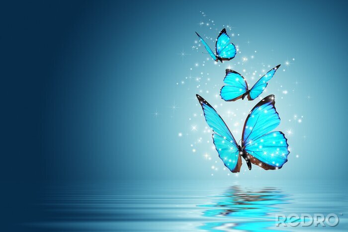 Poster Blauwe vlinders over het water