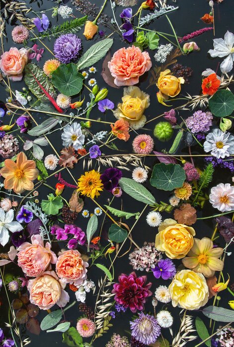 Poster Bloemen compositie