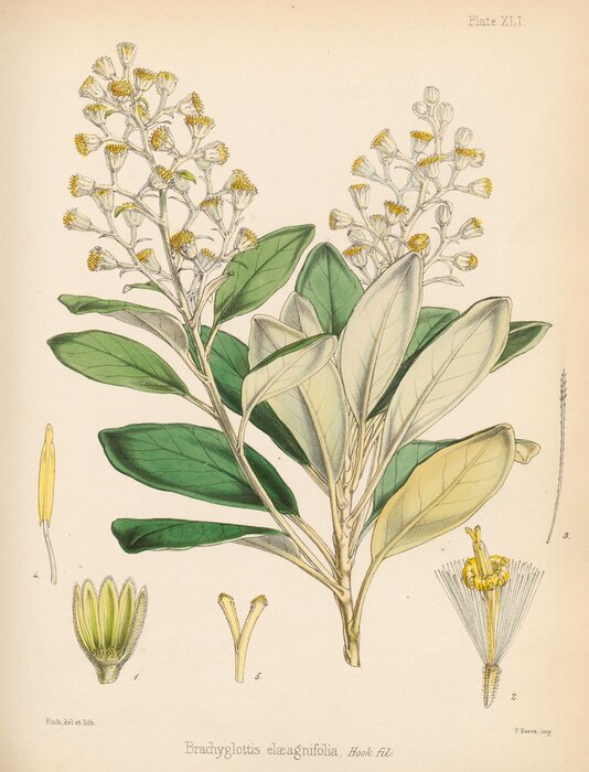 Poster Bloemen groene bladeren en gele toppen