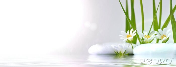 Poster Bloemen op de wal