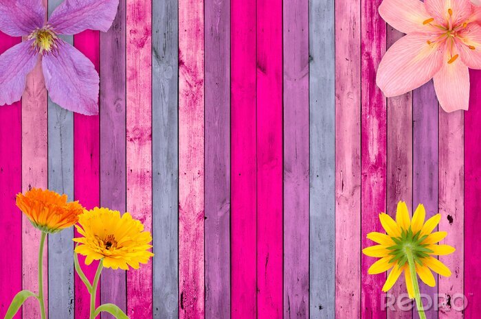 Poster Bloemen op een achtergrond van geschilderde roze-blauwe planken